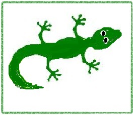 (11.) gecko.jpg